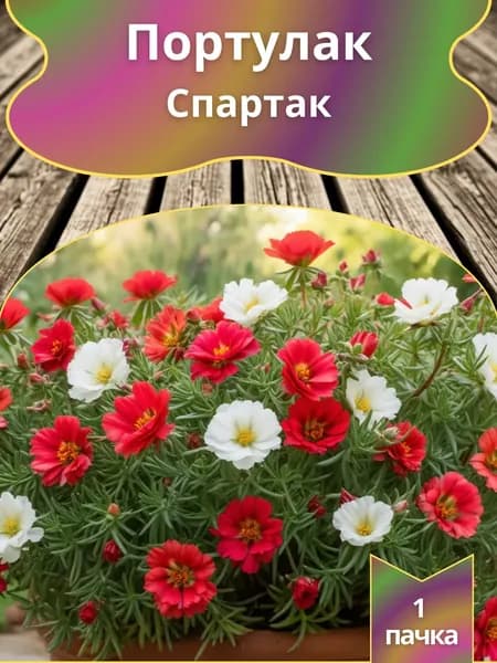 Портулак Спартак , 1 пачка
