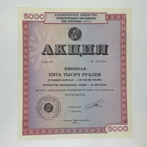 Ценная бумага именная на 5000 рублей. АО Чиф пирамида Фэб г.Лысьва, Пермский край, 1993 год.