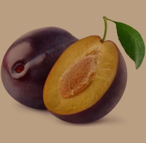 Слива