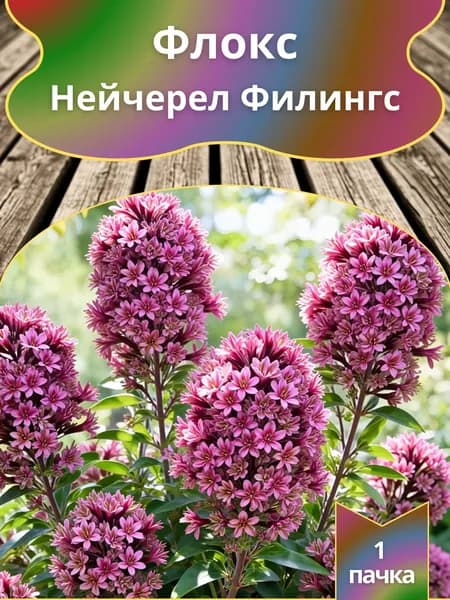 Флокс Нейчерел Филингс , семена 10 шт.