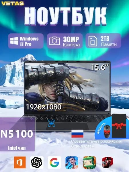 VETAS ноутбук игровой/ноутбук для работы и учебы Система Windows активирована Игровой ноутбук 15.6", Intel Celeron N5100, RAM 16 ГБ, SSD 2048 ГБ, Intel UHD Graphics, Windows Pro, серебристый, Русская раскладка