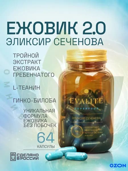 Evalite.Superfood Ежовик гребенчатый капсулы с гинко билоба, l теанином и витамином с. Бад от стресса и тревоги с l-теанином и гинго билоба. Витамины для памяти и мозга - Эликсир Сеченова